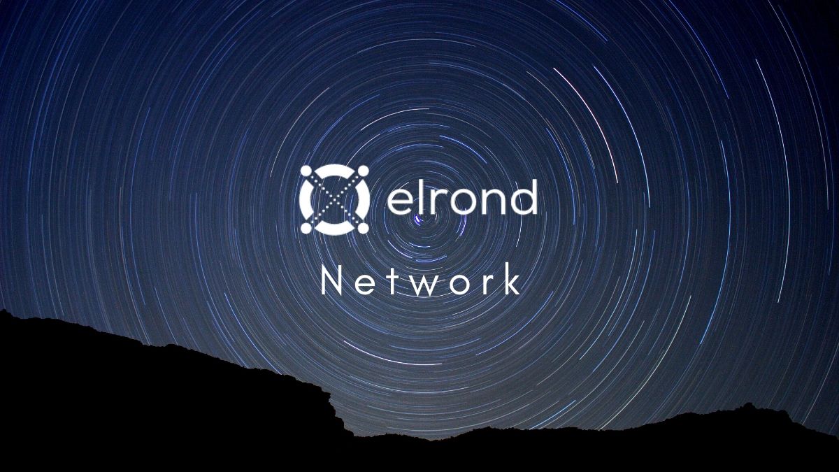Elrond Network